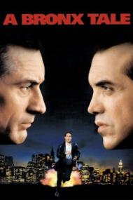 A Bronx Tale <span style=color:#777>(1993)</span> [1080p] [BluRay] <span style=color:#fc9c6d>[YTS]</span>