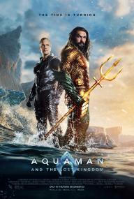 Aquaman and the Lost Kingdom <span style=color:#777>(2023)</span> [Jason Momoa] 1080p BluRay H264 DolbyD 5.1 + nickarad