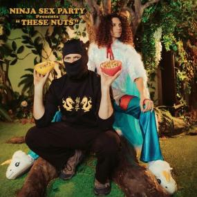 Ninja Sex Party - These Nuts <span style=color:#777>(2024)</span> Mp3 320kbps [PMEDIA] ⭐️