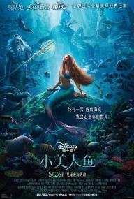 【高清影视之家发布 】小美人鱼[国语配音+中文字幕+特效字幕] The Little Mermaid<span style=color:#777> 2023</span> BluRay 1080p AAC2.0 x264<span style=color:#fc9c6d>-DreamHD</span>