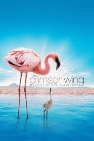 The Crimson Wing Mystery Of The Flamingos <span style=color:#777>(2008)</span> [720p] [BluRay] <span style=color:#fc9c6d>[YTS]</span>