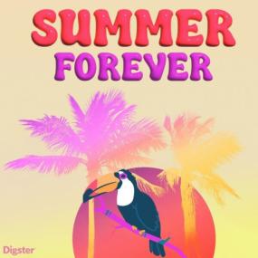 Various Artists - Summer Forever <span style=color:#777>(2024)</span> Mp3 320kbps [PMEDIA] ⭐️