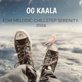 OG KAALA - Edm Melodic Chillstep Serenity<span style=color:#777> 2024</span> -<span style=color:#777> 2024</span> - WEB mp3 320kbps-EICHBAUM