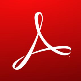 Adobe Acrobat Pro DC<span style=color:#777> 2024</span>.001.20604 (x64)