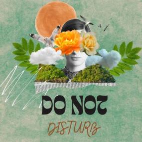 Various Artists - Do not disturb <span style=color:#777>(2024)</span> Mp3 320kbps [PMEDIA] ⭐️