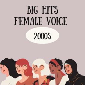 Various Artists - Big Hits – Female Voice (2000s) <span style=color:#777>(2024)</span> Mp3 320kbps [PMEDIA] ⭐️
