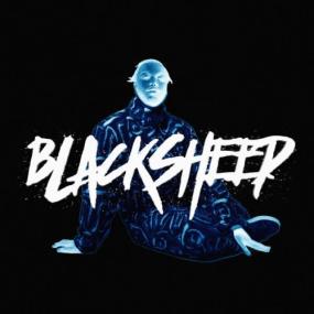 Cakes Da Killa - Black Sheep <span style=color:#777>(2024)</span> [24Bit-48kHz] FLAC [PMEDIA] ⭐️