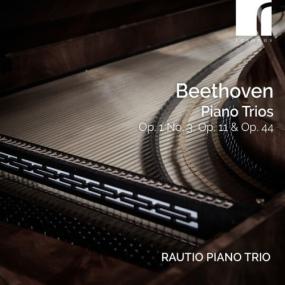 Rautio Piano Trio - Beethoven Piano Trios Op  1 No  3 Op  11 & Op  44 <span style=color:#777>(2024)</span> [24Bit-96kHz] FLAC [PMEDIA] ⭐️