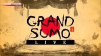 NHK Grand Sumo Live March<span style=color:#777> 2024</span> 720p HDTV x265 AAC MVGroup Forum