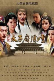 【高清剧集网发布 】大明太子府风云[全20集][国语配音+中文字幕] Da Ming Concubines S01<span style=color:#777> 2010</span> 1080p Hami WEB-DL H264 AAC-LelveTV