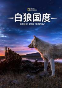 【高清剧集网发布 】雪狼王国 第一季[全3集][中文字幕] Kingdom of the White Wolf S01<span style=color:#777> 2019</span> 1080p WEB-DL H264 AAC-LelveTV