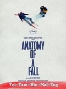 B - Anatomy of a Fall <span style=color:#777>(2023)</span> 720p BluRay - (DD 5.1 - 192Kbps) [Tel + Tam + Hin + Mal + Eng]