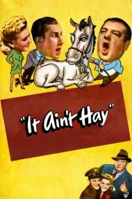 It Aint Hay (1943) [1080p] [BluRay] <span style=color:#fc9c6d>[YTS]</span>