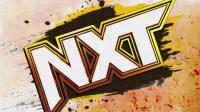 WWE NXT<span style=color:#777> 2024</span>-04-02 4K 2160p 60FPS H265 HEVC-SC-SDH