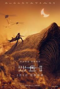Dune Part Two<span style=color:#777> 2024</span> 1080p WEB-DL H264 AAC-InMemoryOfEVO