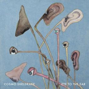 Cosmo Sheldrake - Eye To The Ear <span style=color:#777>(2024)</span> [24Bit-96kHz] FLAC [PMEDIA] ⭐️