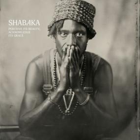 Shabaka - Perceive Its Beauty Acknowledge Its Grace <span style=color:#777>(2024)</span> [24Bit-96kHz] FLAC [PMEDIA] ⭐️