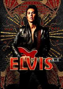 Elvis <span style=color:#777>(2022)</span> 720p 10bit BluRay Hindi + English AAC 5.1 x265 ESub _ R∆G∆ _ PSA [ProtonMovies]