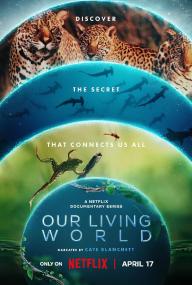 Our Living World NF 720 x 264 WEBRip - BadRips