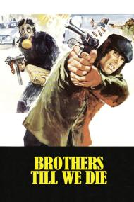 Brothers Till We Die <span style=color:#777>(1978)</span> [1080p] [BluRay] <span style=color:#fc9c6d>[YTS]</span>
