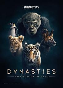 Dynasties<span style=color:#777> 2018</span> and Dynasties II<span style=color:#777> 2022</span> 720p 10bit BluRay x265-budgetbits