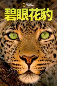 【高清影视之家发布 】碧眼花豹[简繁英字幕] Jade Eyed Leopard<span style=color:#777> 2020</span> 1080p DSNP WEB-DL DDP5.1 H264-BATWEB