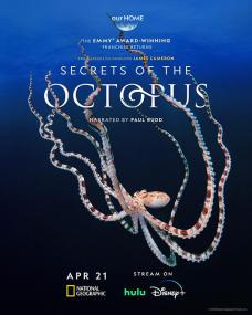 【高清剧集网发布 】章鱼的秘密[全3集][简繁英字幕] Secrets of the Octopus S01<span style=color:#777> 2024</span> 1080p DSNP WEB-DL DDP5.1 H264-LelveTV