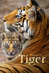 Tiger <span style=color:#777>(2024)</span> [2160p] [4K] [WEB] [5.1] <span style=color:#fc9c6d>[YTS]</span>