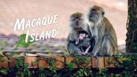 Macaque Island Series 1 1of3 The Young Upstart 1080p x265 AAC