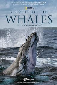 【高清剧集网发布 】鲸的秘密[全4集][国英多音轨+简繁英字幕] Secrets of the Whales S01<span style=color:#777> 2021</span> 1080p DSNP WEB-DL DDP5.1 H264-LelveTV