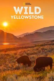 【高清剧集网发布 】野性黄石公园[第01-2集][简繁英字幕] Wild Yellowstone S01<span style=color:#777> 2015</span> 1080p DSNP WEB-DL DDP5.1 H264-LelveTV