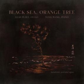 Leah Plave - Black Sea Orange Tree <span style=color:#777>(2024)</span> [24Bit-96kHz] FLAC [PMEDIA] ⭐️