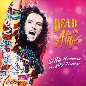 Dead Or Alive - The Pete Hammond Hi-NRG Remixes <span style=color:#777>(2024)</span> [24Bit-44.1kHz] FLAC