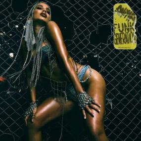 Anitta - Funk Generation - [Hi-Res]-<span style=color:#777> 2024</span>- WEB FLAC 24BIT   44 1khz-EICHBAUM