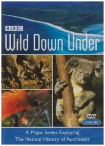 Wild Down Under AKA Wild Australasia<span style=color:#777> 2003</span> 10bit DVDRip x265-budgetbits