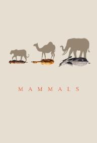 Mammals <span style=color:#777>(2024)</span>