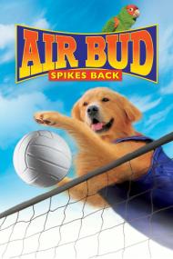 Air Bud Spikes Back <span style=color:#777>(2003)</span> [720p] [WEBRip] <span style=color:#fc9c6d>[YTS]</span>