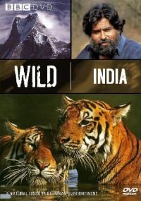 Land of the Tiger AKA Wild India<span style=color:#777> 1997</span> 10bit DVDRip x265-budgetbits