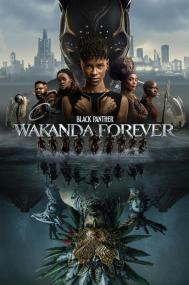Black Panther Wakanda Forever<span style=color:#777> 2022</span> DVD9