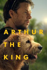 【高清影视之家发布 】冠军亚瑟[简繁英字幕] Arthur the King<span style=color:#777> 2024</span> BluRay 1080p TrueHD7 1 x265 10bit<span style=color:#fc9c6d>-DreamHD</span>