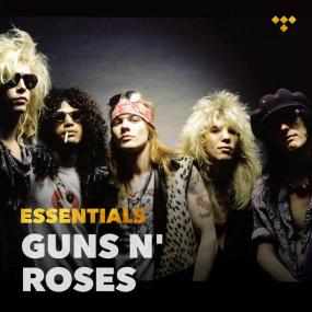 Guns N' Roses - Essentials <span style=color:#777>(2024)</span> [FLAC] 88