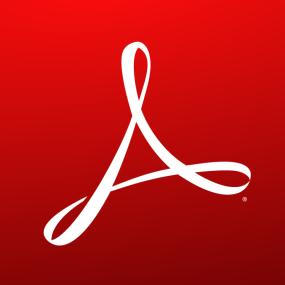 Adobe Acrobat Pro<span style=color:#777> 2024</span> v24.3.20180 (x64)