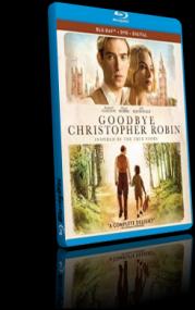 Vi Presento Christopher Robin <span style=color:#777>(2017)</span> BDRip H264 AC3 ITA 1080p MultiSub [T7]