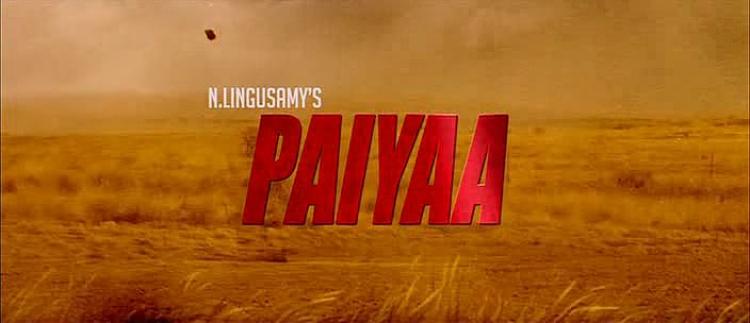 Paiyaa<span style=color:#777> 2010</span> Tamil DvDRip XviD AC3 Subs