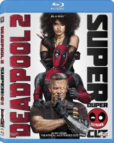 Deadpool 2 <span style=color:#777>(2018)</span> 720p Super Duper Cut UNRATED BluRay [Dual Audio]-[Hindi (Org DD 5.1) + Eng] ESubs 1.9GB <span style=color:#fc9c6d>- MovCr</span>