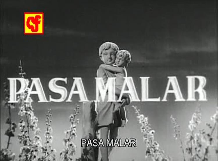 Paasa Malar<span style=color:#777> 1960</span> Tamil DvDRip XviD AC3
