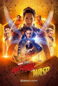 T - Ant-Man and the Wasp <span style=color:#777>(2018)</span> HDTC - 720p - HQ Line [Tamil + Hindi + Eng]
