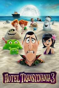 Hotel Transylvania 3 Summer Vacation<span style=color:#777> 2018</span> 1080p BluRay REMUX AVC DTS-HD MA 5.1<span style=color:#fc9c6d>-FGT</span>