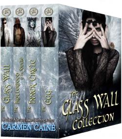 The Glass Wall Collection ebook