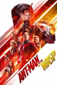 Ant-Man And The Wasp <span style=color:#777>(2018)</span> [WEBRip] [720p] <span style=color:#fc9c6d>[YTS]</span>
